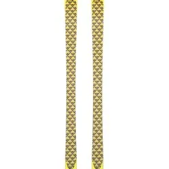 Black Crows Orb Freebird Skin