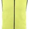 Dainese Scarabeo Vest