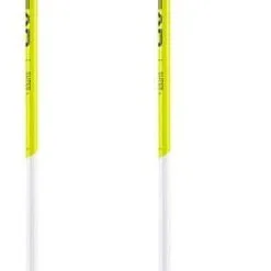 Head Supershape Team