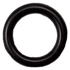 Primus O-ring